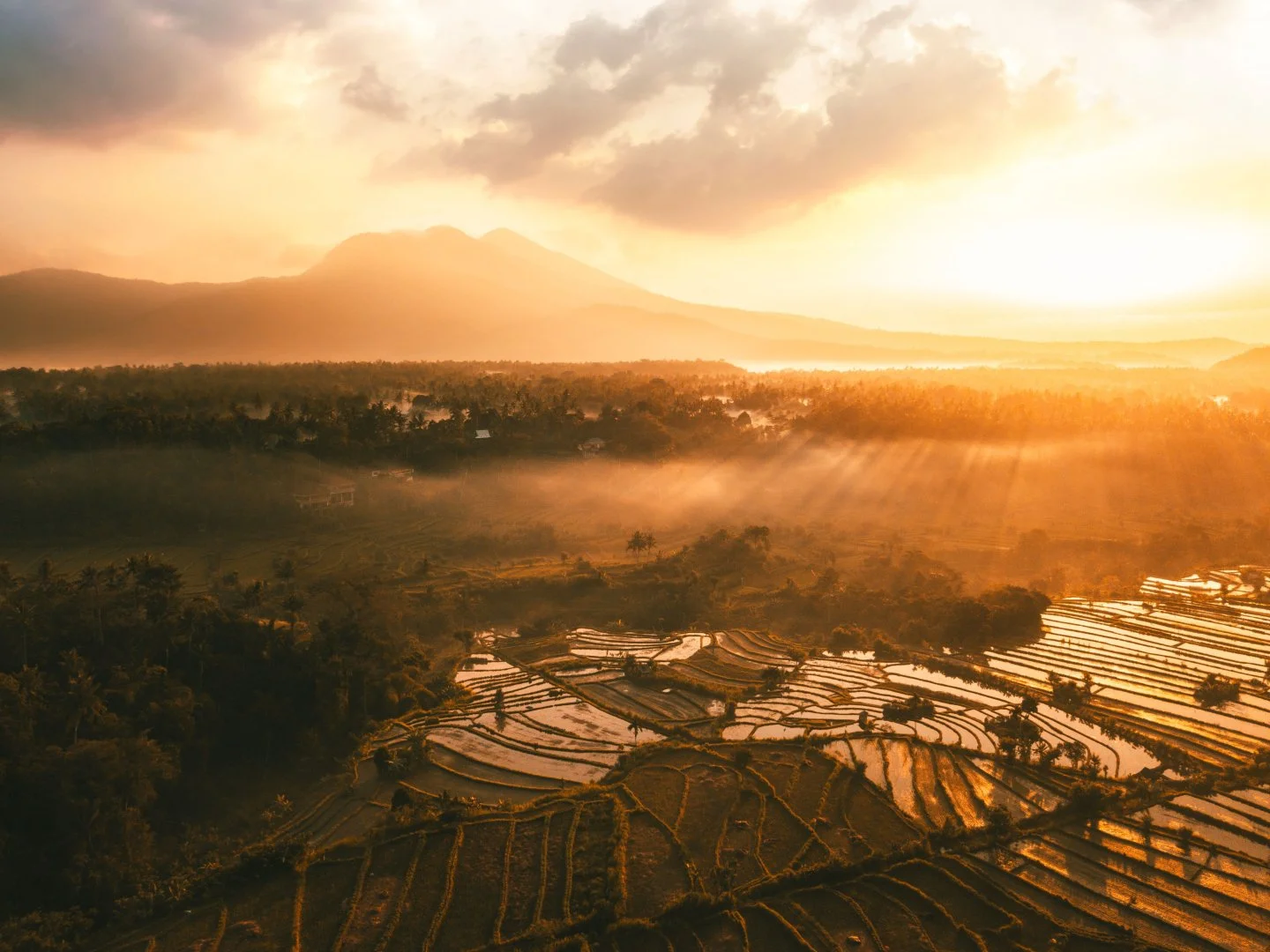 Indonezia